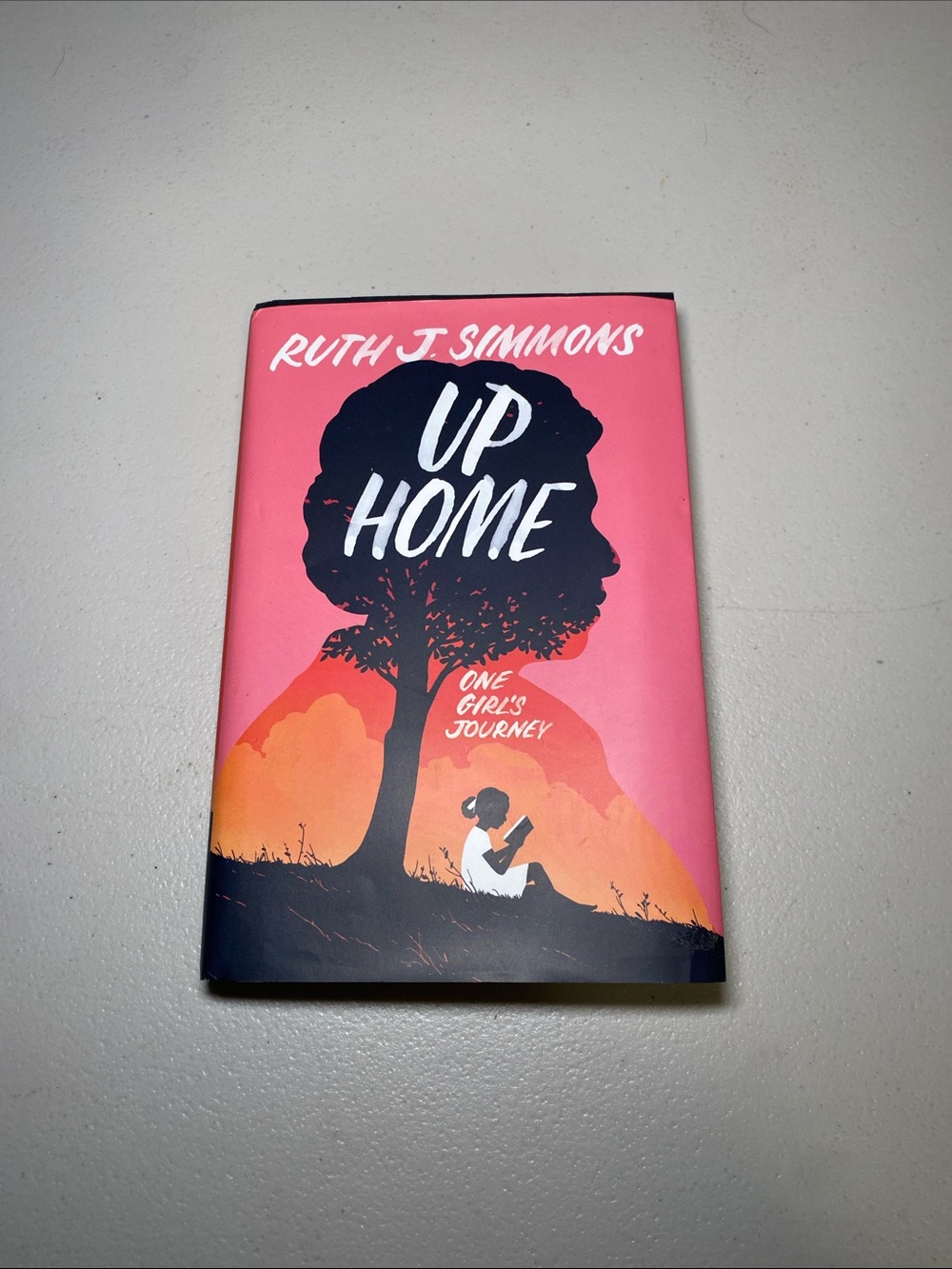 Up Home Decorative Book Cover - Pink